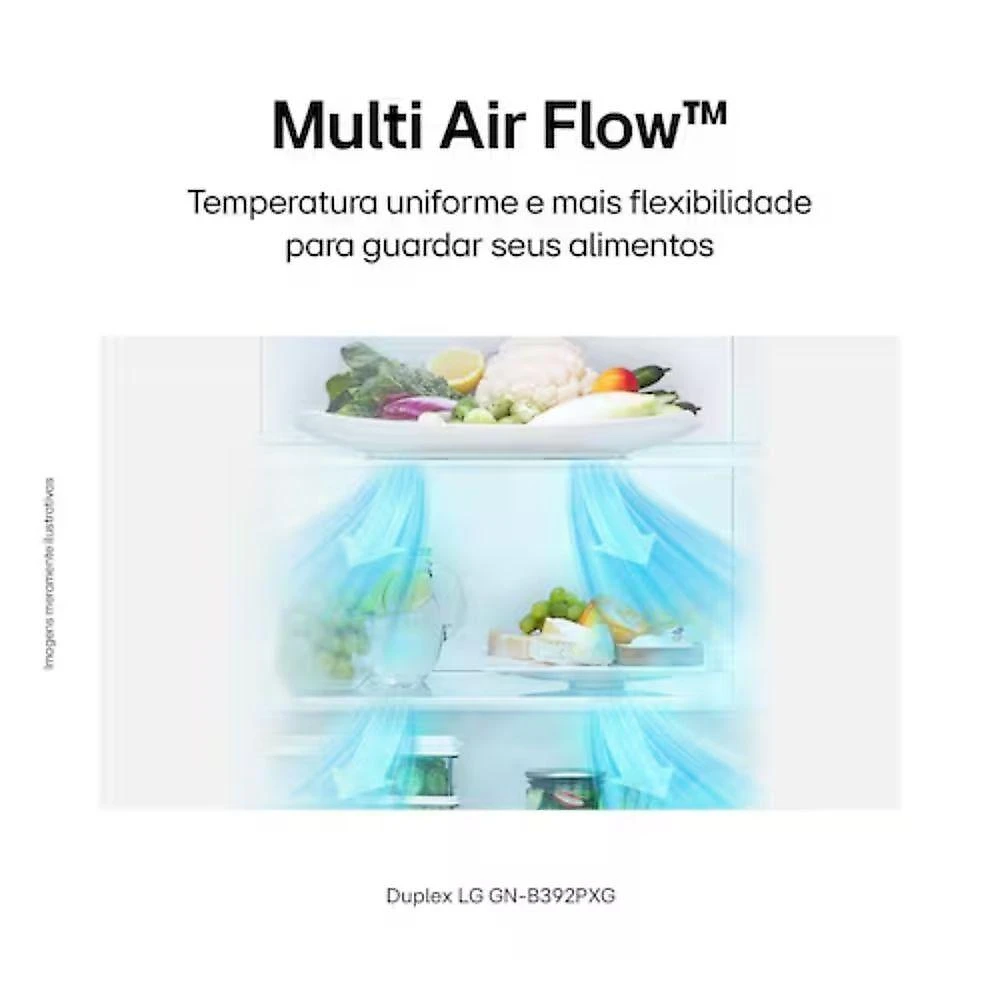 Geladeira LG Duplex Frost Free Inverter 395L GN-B392PXGB Preto 110V