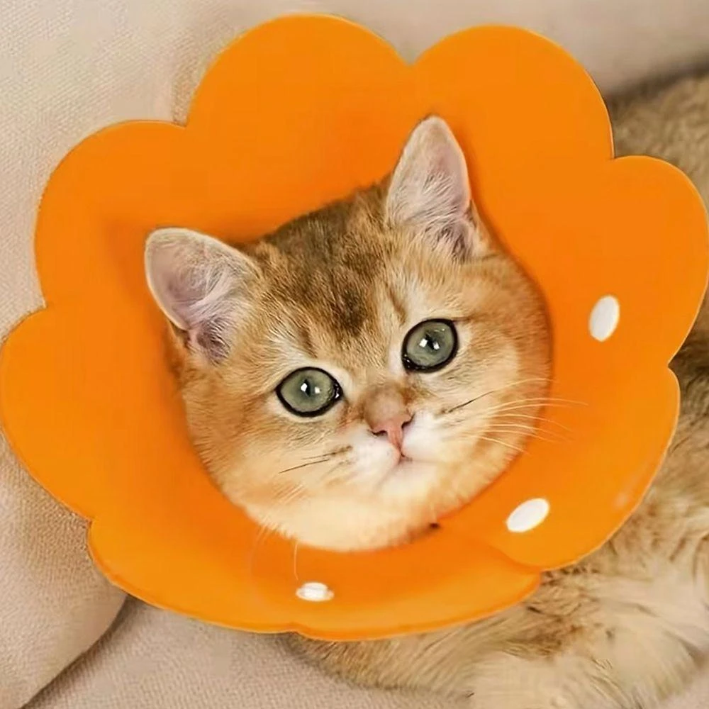 Colar Elisabetano Leva Pro Pet SU-ZABE2 Gato e Cachorro EVA Laranja 20g