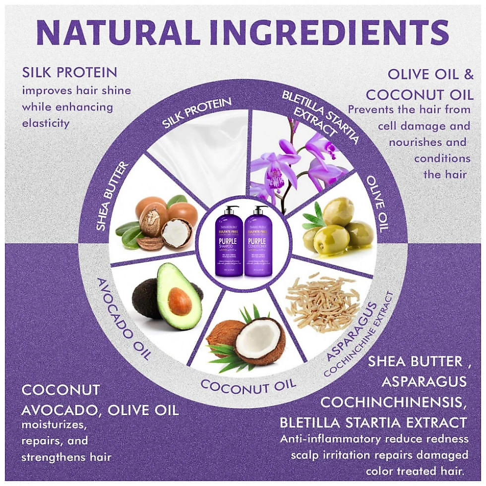 Natural Riches Purple Shampoo and Conditioner Set Sulfate Free Salon Grade for Silver Blonde and Platinum Hair Removes