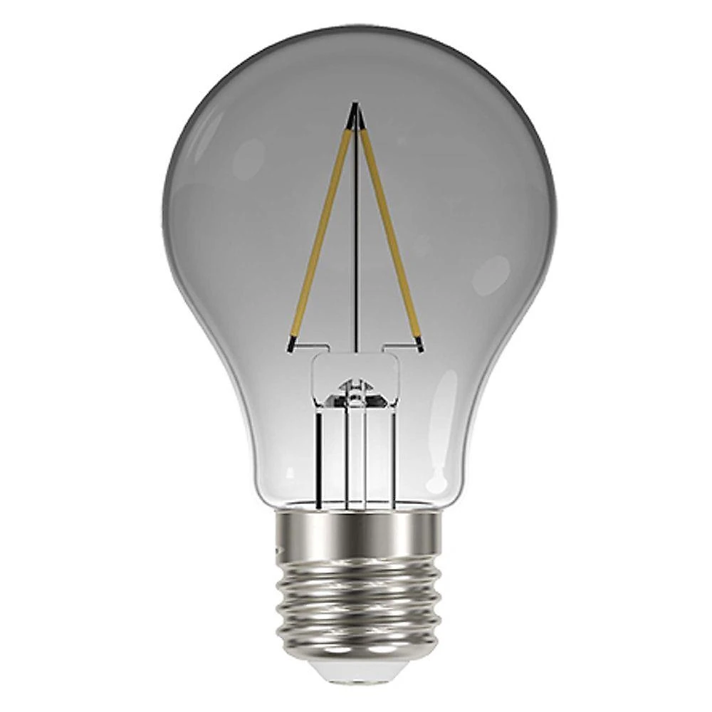 Lâmpada Led Fumê 30w Kit 2 Unid. Iluminação Decorativa Vintage Branco Quente Multifilamento Retrô Casa Luz Decoração