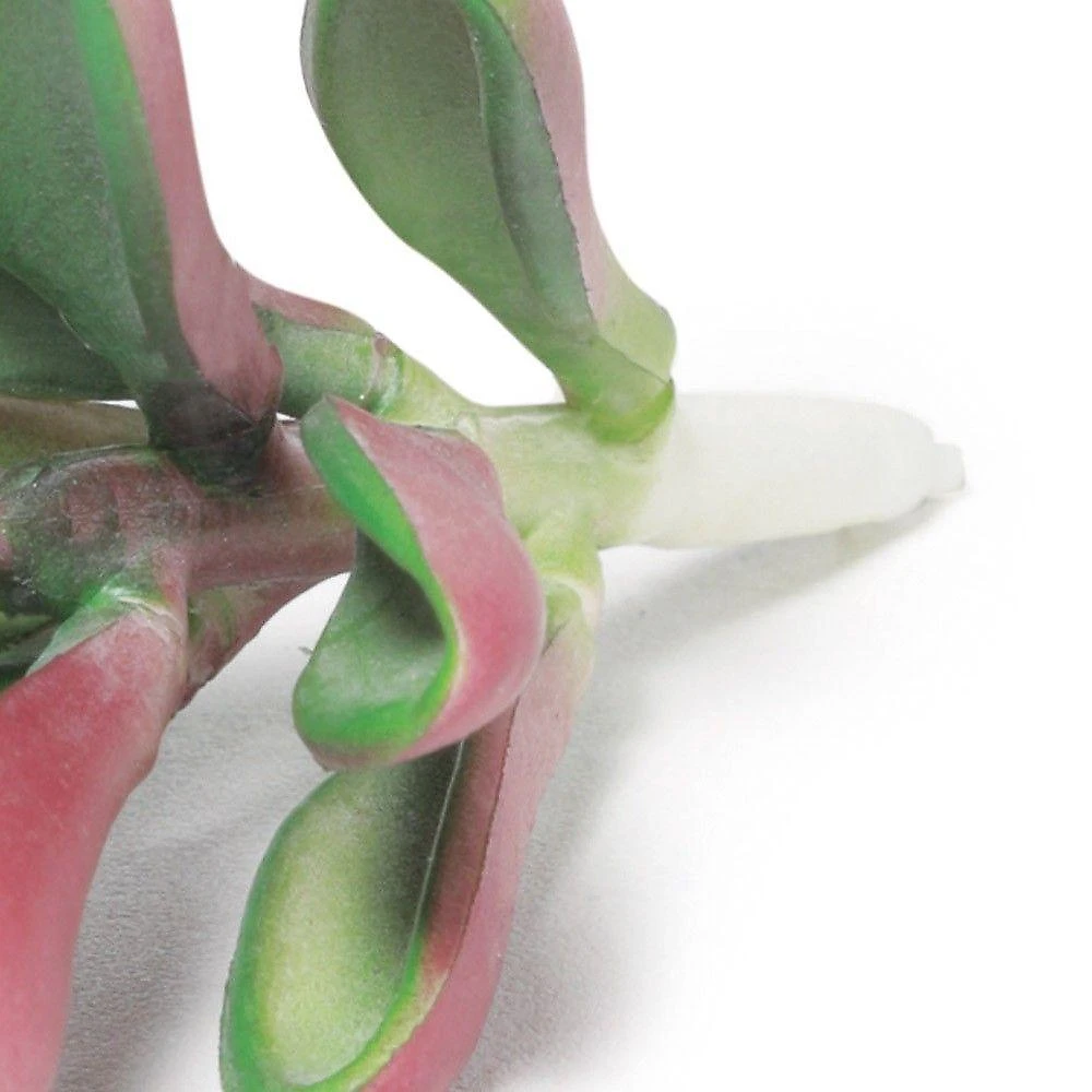 Suculenta Artificial Decorativa 10,5 X 6cm