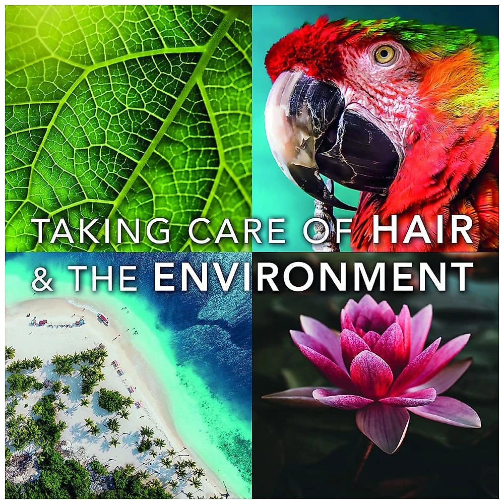 GAMMA Secador de Cabelo Profissional com 12 Temperaturas 110V Preto