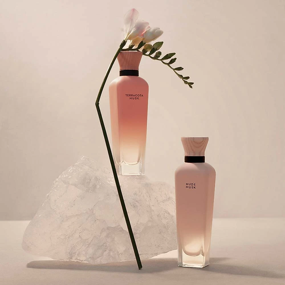 Terracota Musk Adolfo Dominguez - Perfume Feminino - Eau de Parfum 120ml