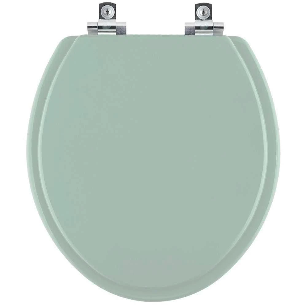 Assento Sanitário Com Fechamento Lento Convencional Oval Verde Claro Para Vaso Icasa