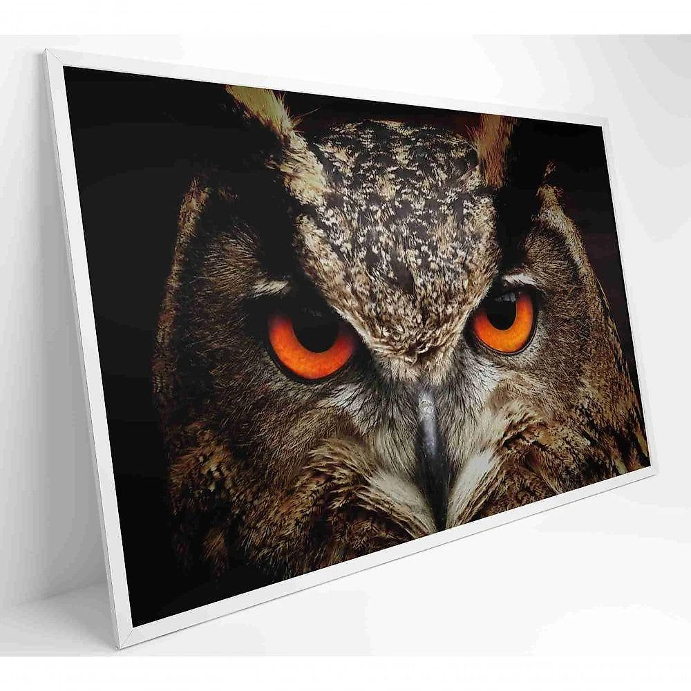 Quadro Coruja 90x60 Cm Tecido Canvas