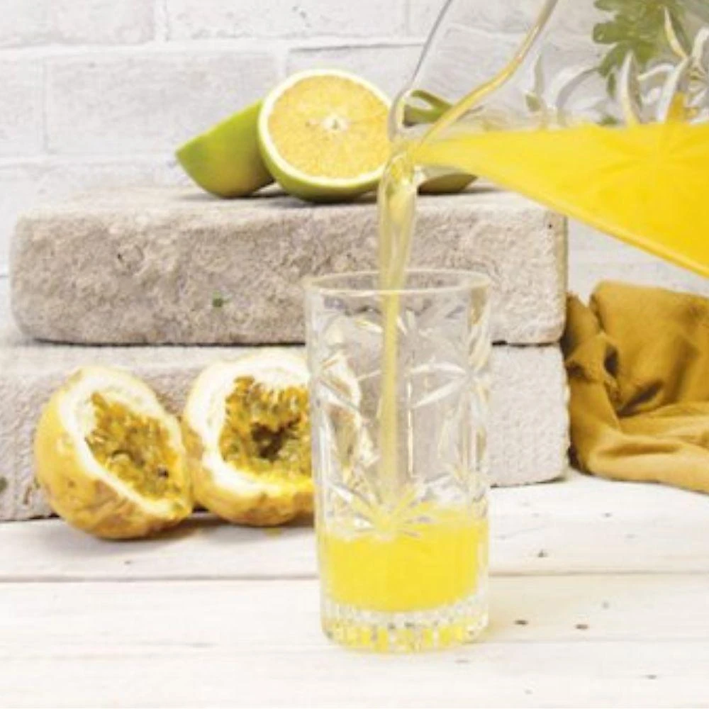 Copo Alto Palm Tree 360ML com Folhas de Palmeira Gravadas em Vidro Transparente 4 Unidades Wolff