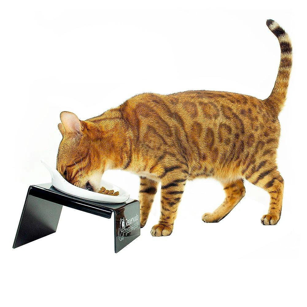 Comedouro CatMyPet Snack Cat - Vermelho