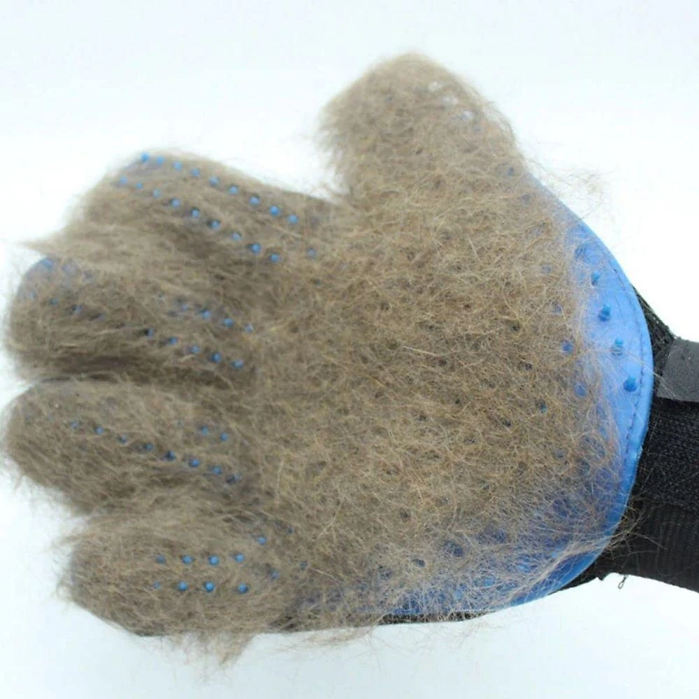 Luvas Nano Magnética Tira Pelos Para Cães E Gatos