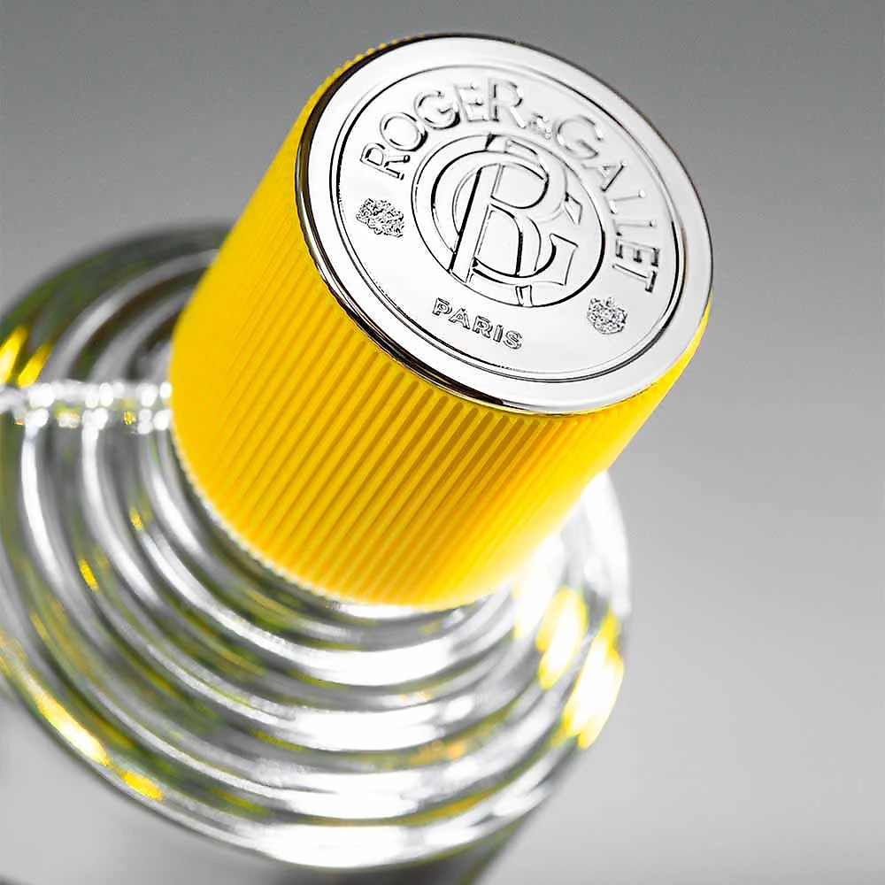 Perfume Wb Cologne Twist Masculino Roger E Gallet 100ml