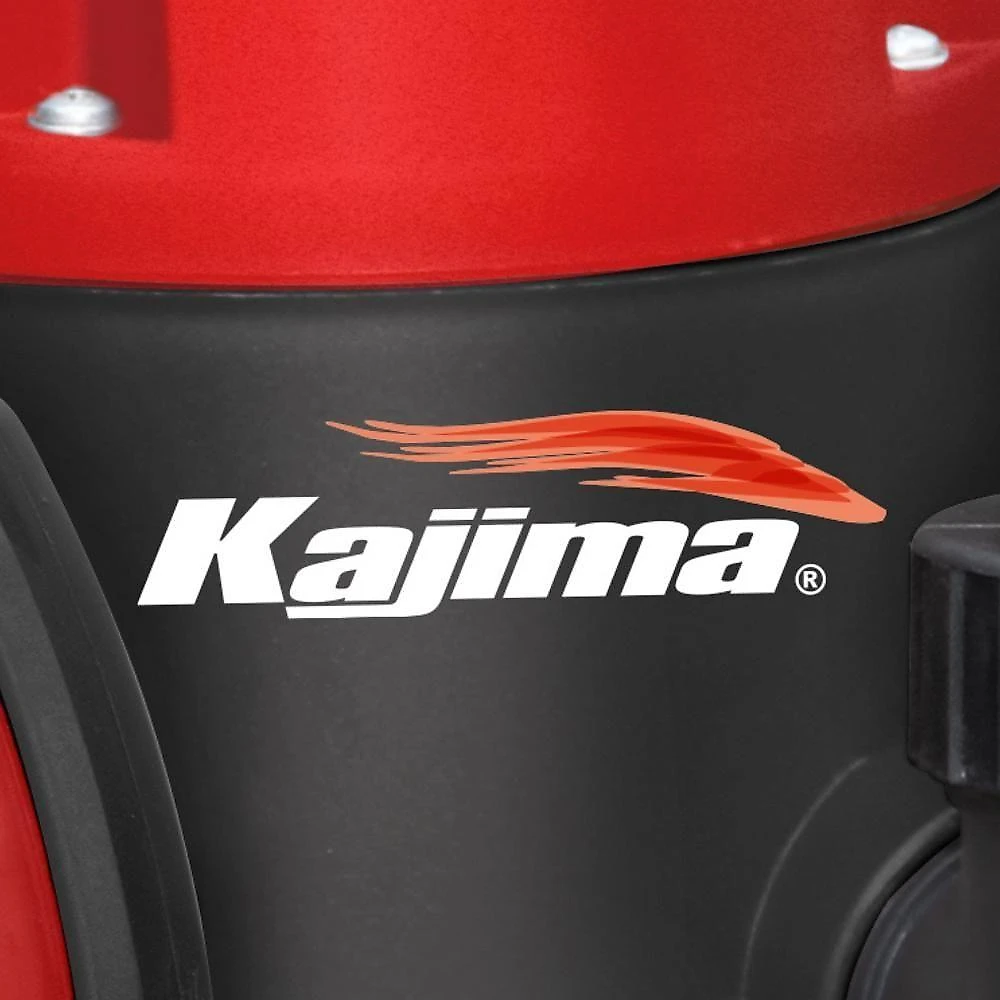 Eletrobomba Submersível Qwl105 Kajima Boia Com Regulagem 110v 110V