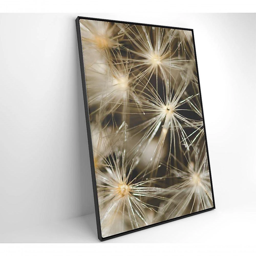 Quadro Dente De Leão 80x120 Cm Tecido Canvas