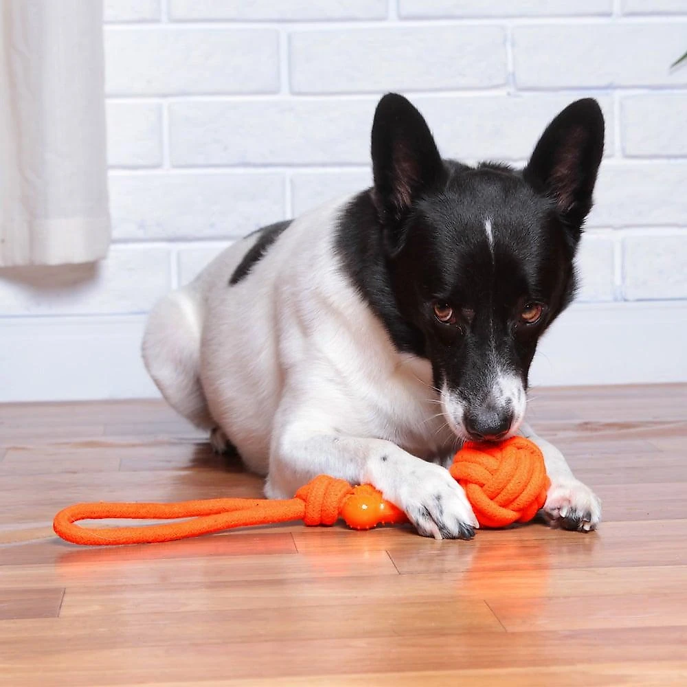 Brinquedo de Corda Kroco Puxador Laranja - Tam. Único