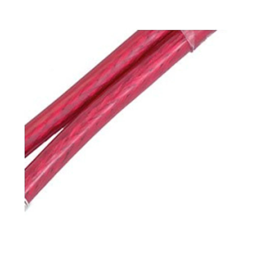 Cabo Rca Paredão 2 Machos 1 Fêmea 40cm Vermelho Cristal Santo Angelo