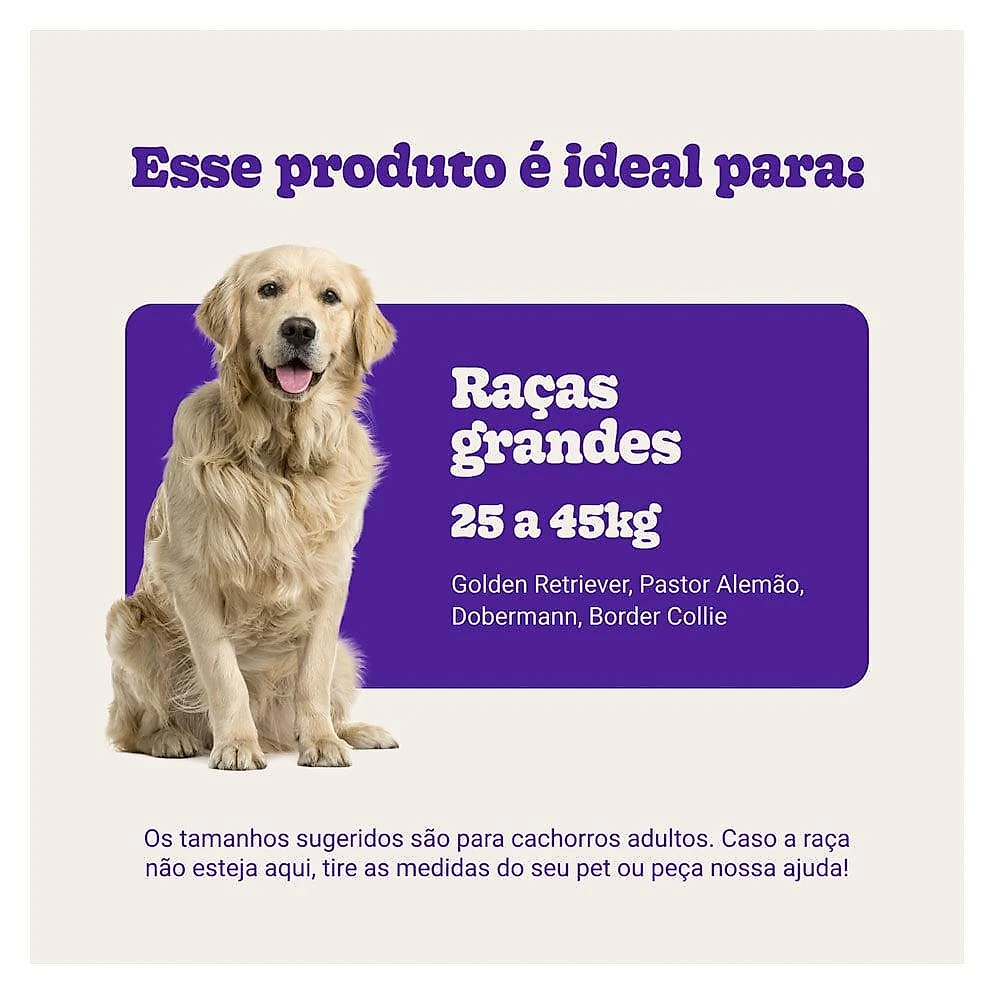 Bola de Corda Kroco Laranja - Tam. G