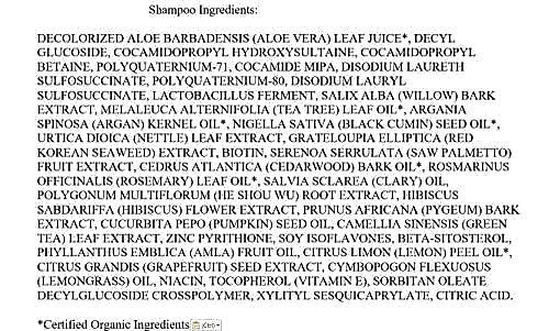 Shampoo e Condicionador Óleo de Argan Todos os Tipos de Cabelos Homens Mulheres 473ml