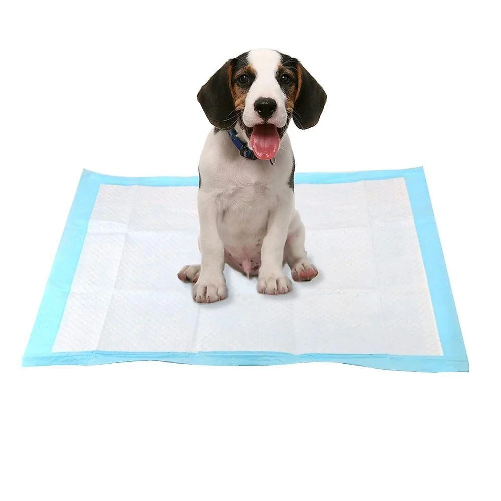 Tapete Higienico Cao Pet Cachorro 60x90 20 Unidades Animal De Estimaçao Antivazamento Treinamento Adestramento