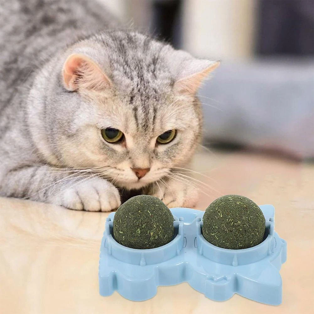 Brinquedo Erva De Gato Pet Bola Bolinha Menta Catnip Animal De Estimaçao Interativo Diversao Lazer