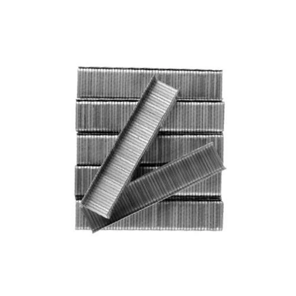 Grampos para Grampeador DTOOLS Número 6 Material Resistente Caixa com 1000 Peças