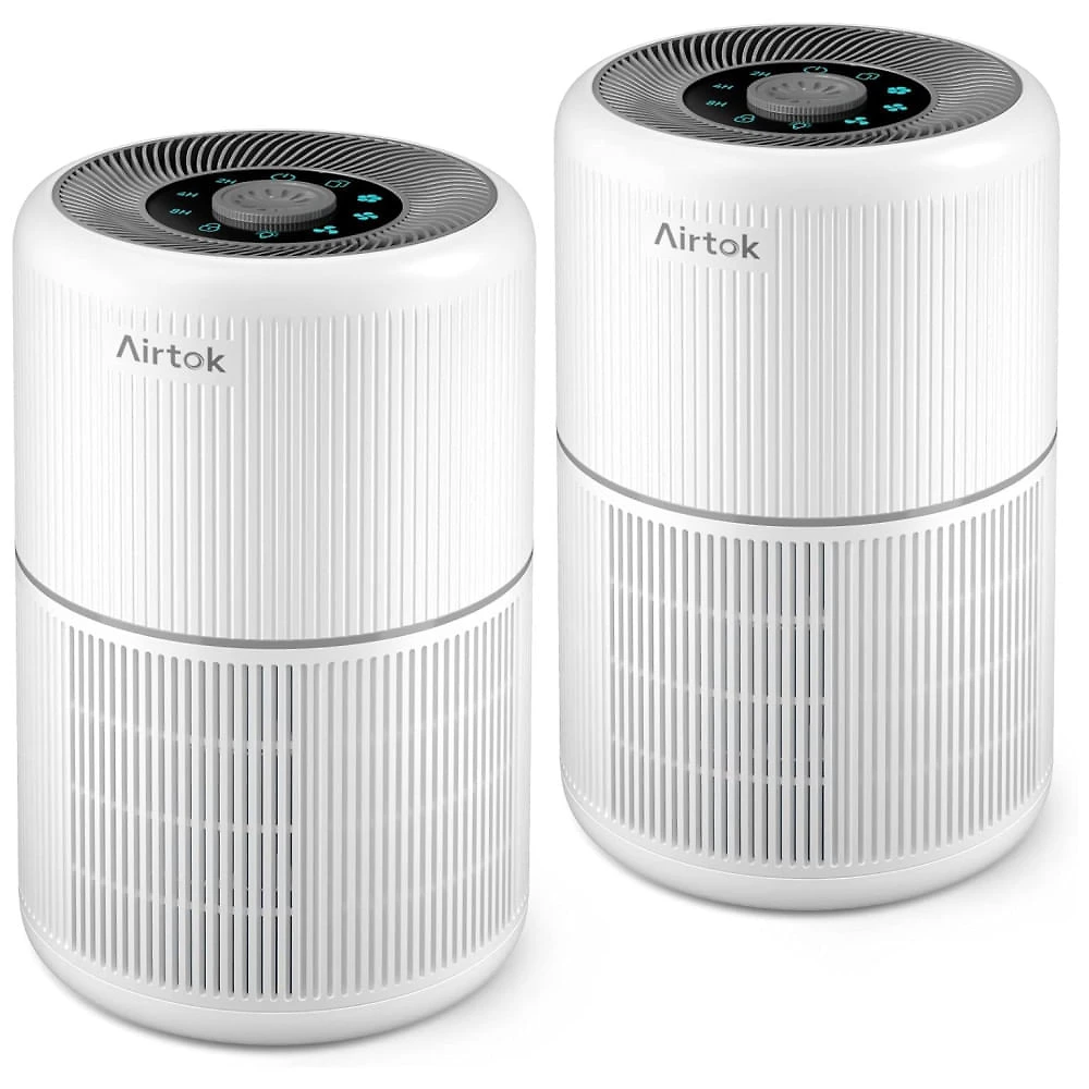 Purificador de Ar 2 em 1 para Ambientes Residenciais com Filtro de Alta Eficiência HEPA para Remoção de Impurezas até 0,1 Micrômetro,AIRTOK