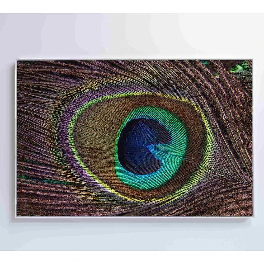 Quadro Penas De Pavão 120x80 Cm Adesivo Fotográfico
