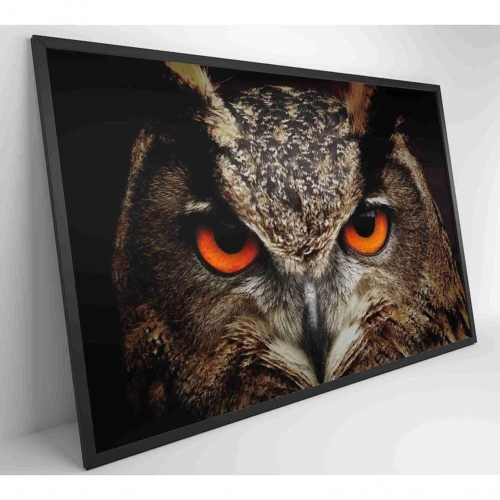 Quadro Coruja 90x60 Cm Tecido Canvas